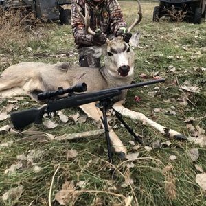 Meet your Posher, Bryce